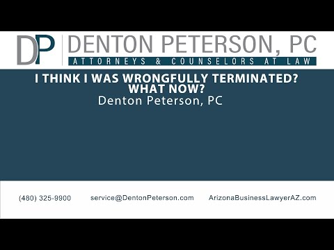 I think I was wrongfully terminated? What now?