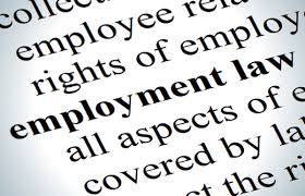 Business and Employment law lawyer